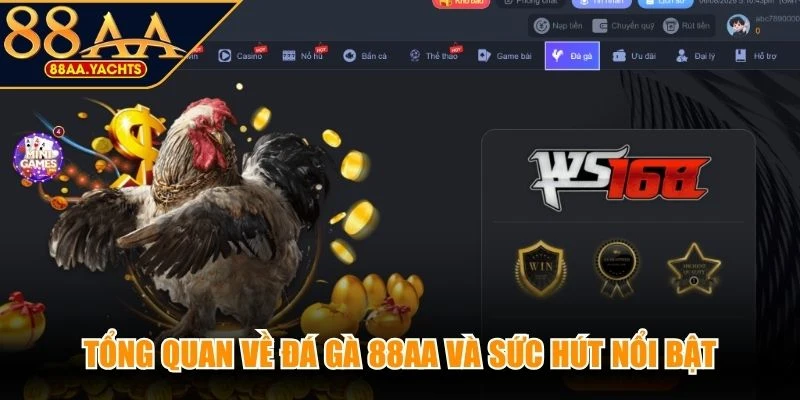 Tổng quan về đá gà 88AA và sức hút nổi bật