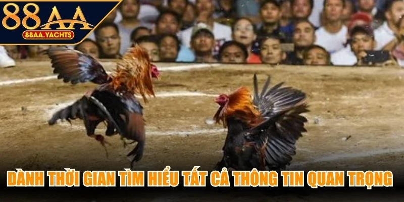 Dành thời gian tìm hiểu tất cả thông tin quan trọng liên quan đến trận đấu
